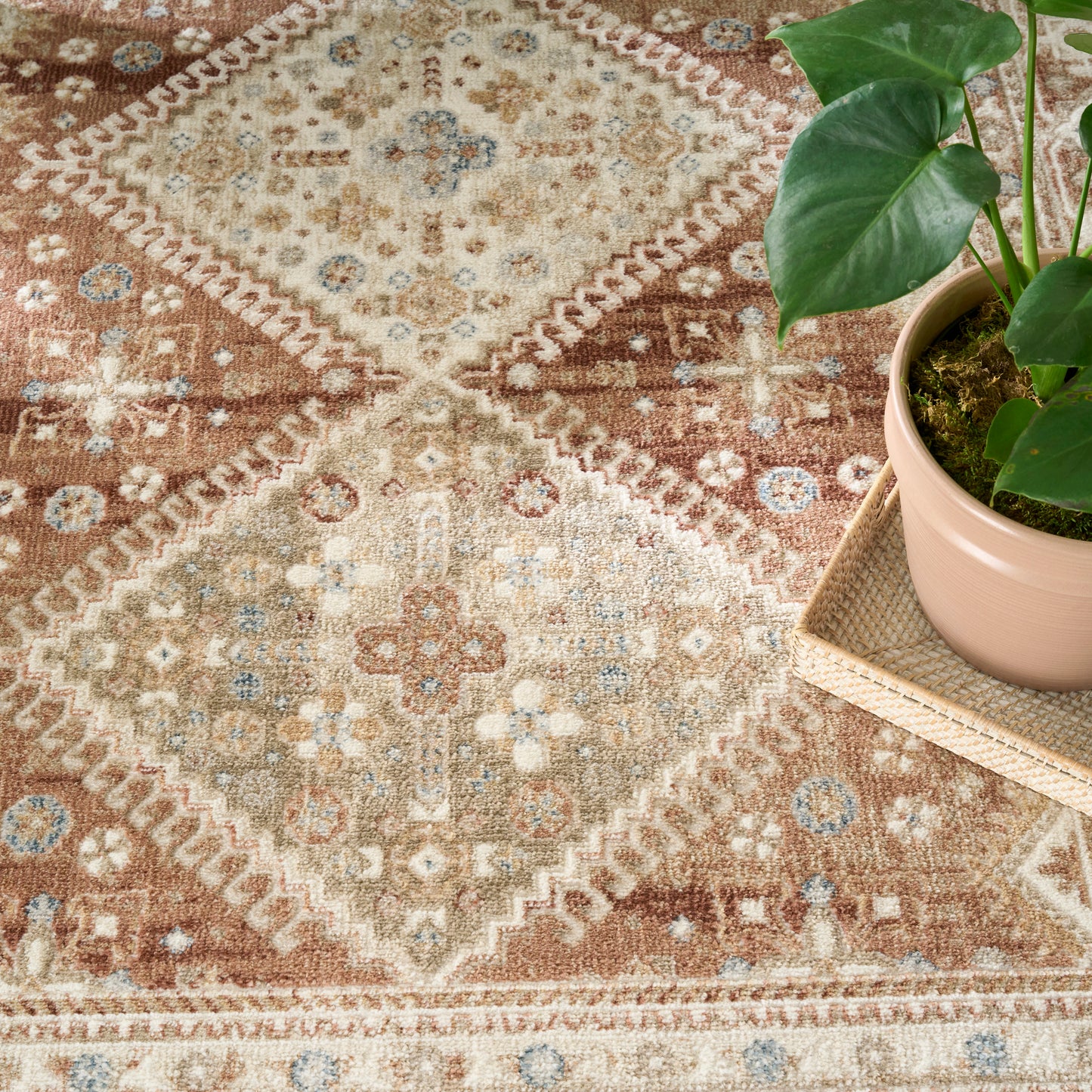 Nourison Pardis 7'10" x 9'10" Rust Vintage Indoor Rug