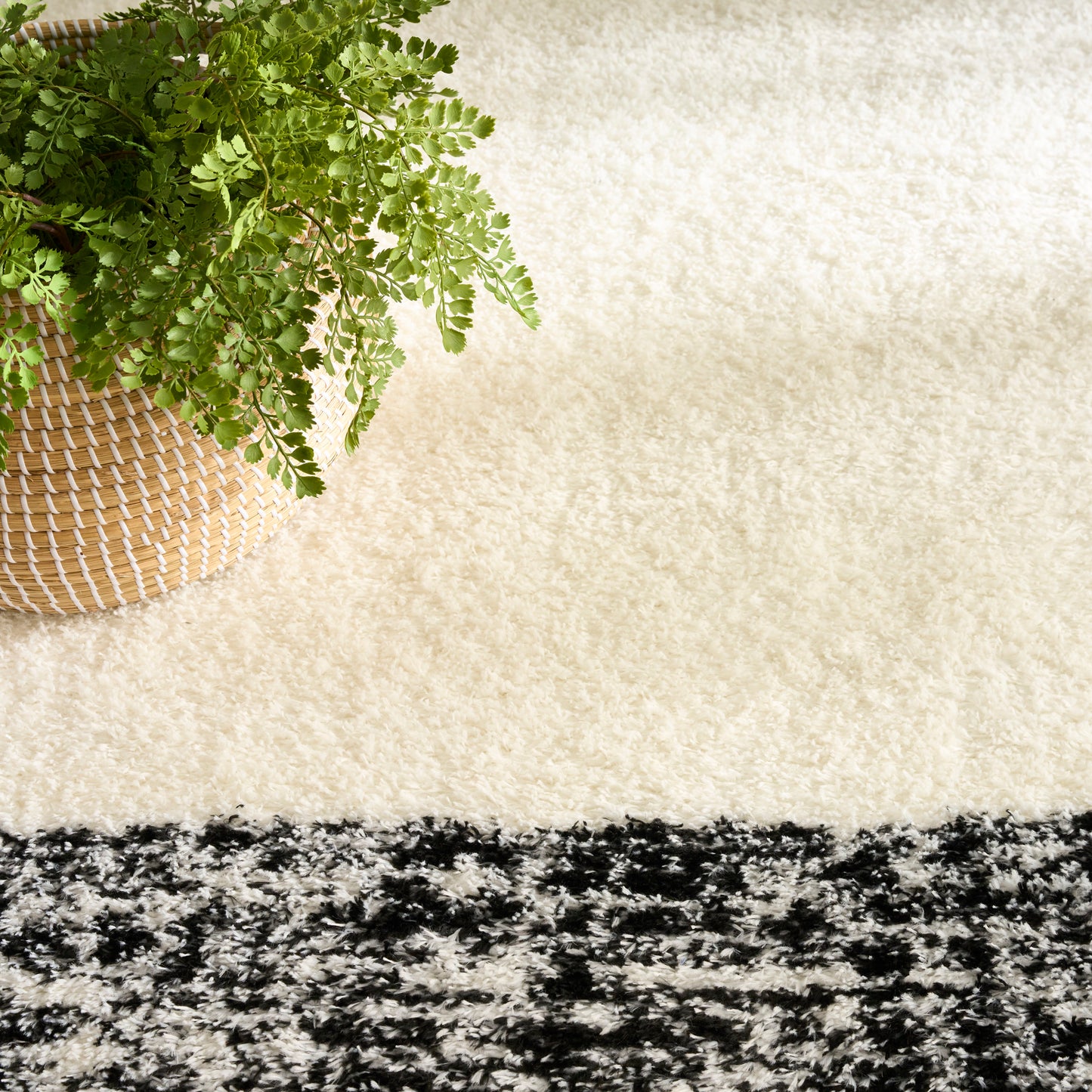 Nourison Pacific Shag 7'10" x 9'10" Ivory Black Shag Indoor Rug