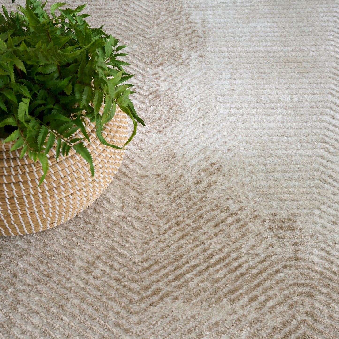 Nourison Dekor 4' x 6' Ivory Taupe Modern Indoor Rug