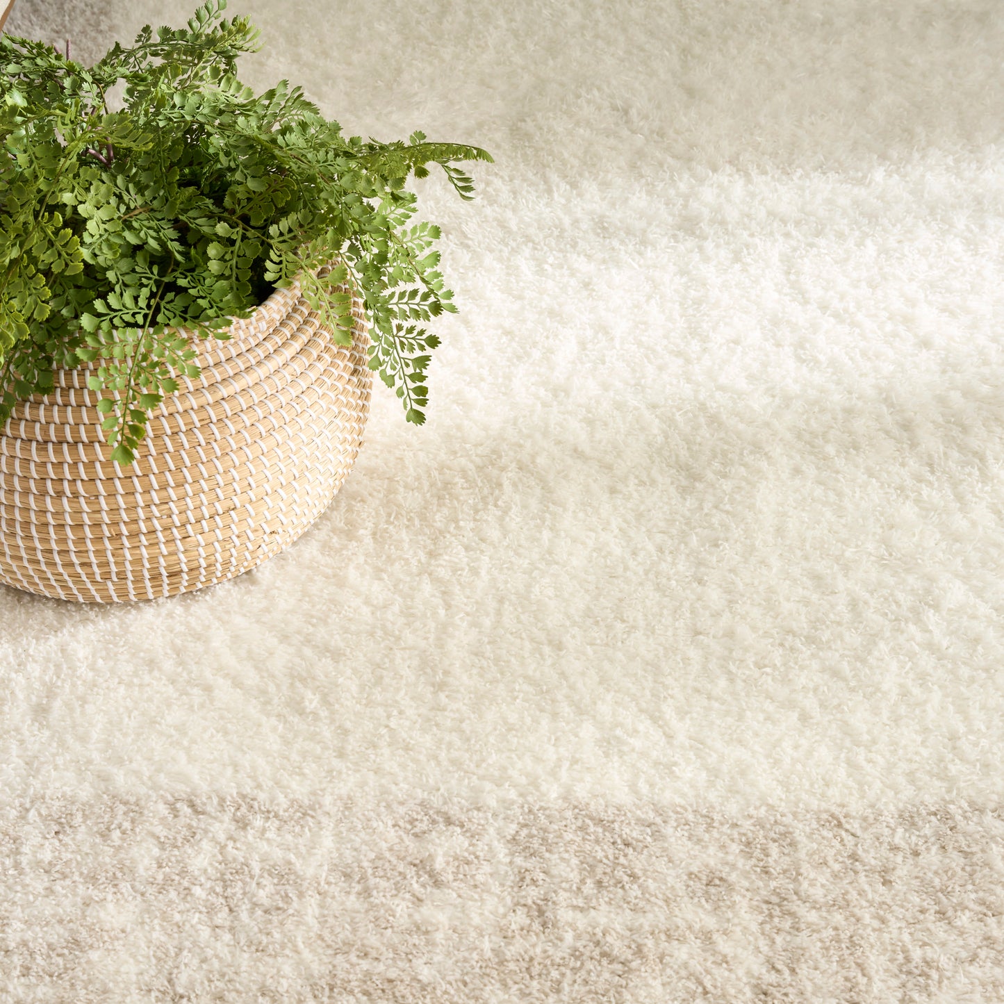 Nourison Pacific Shag 7'10" x 9'10" Ivory Beige Shag Indoor Rug