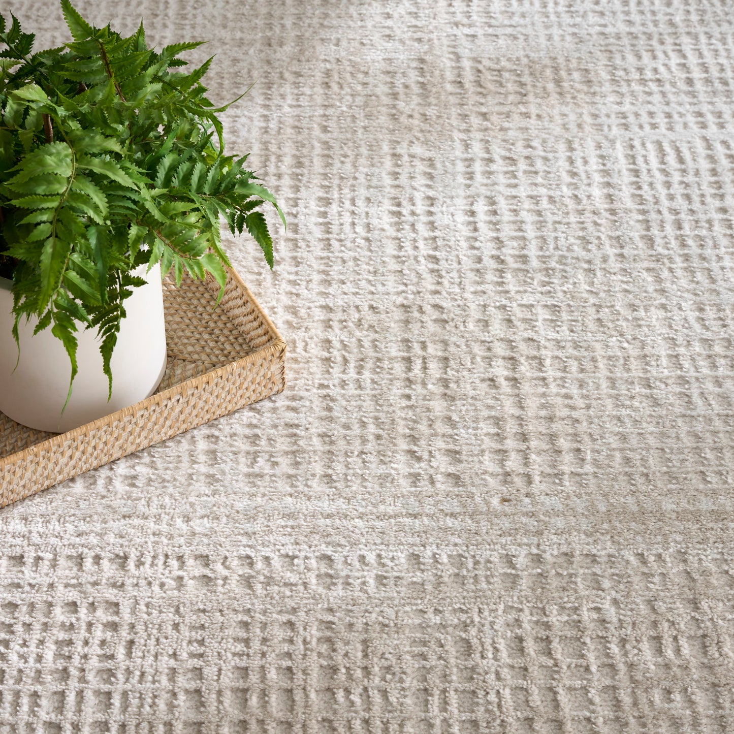 Nourison Dekor 7'10" x 9'10" Beige Modern Indoor Rug
