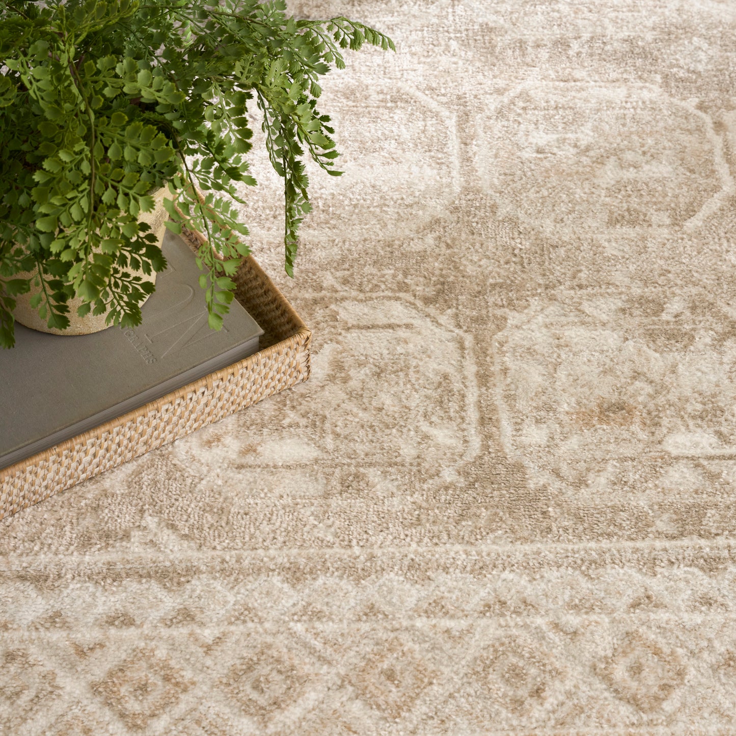 Nourison Dekor 5'3" x 7' Cream Beige Vintage Indoor Rug