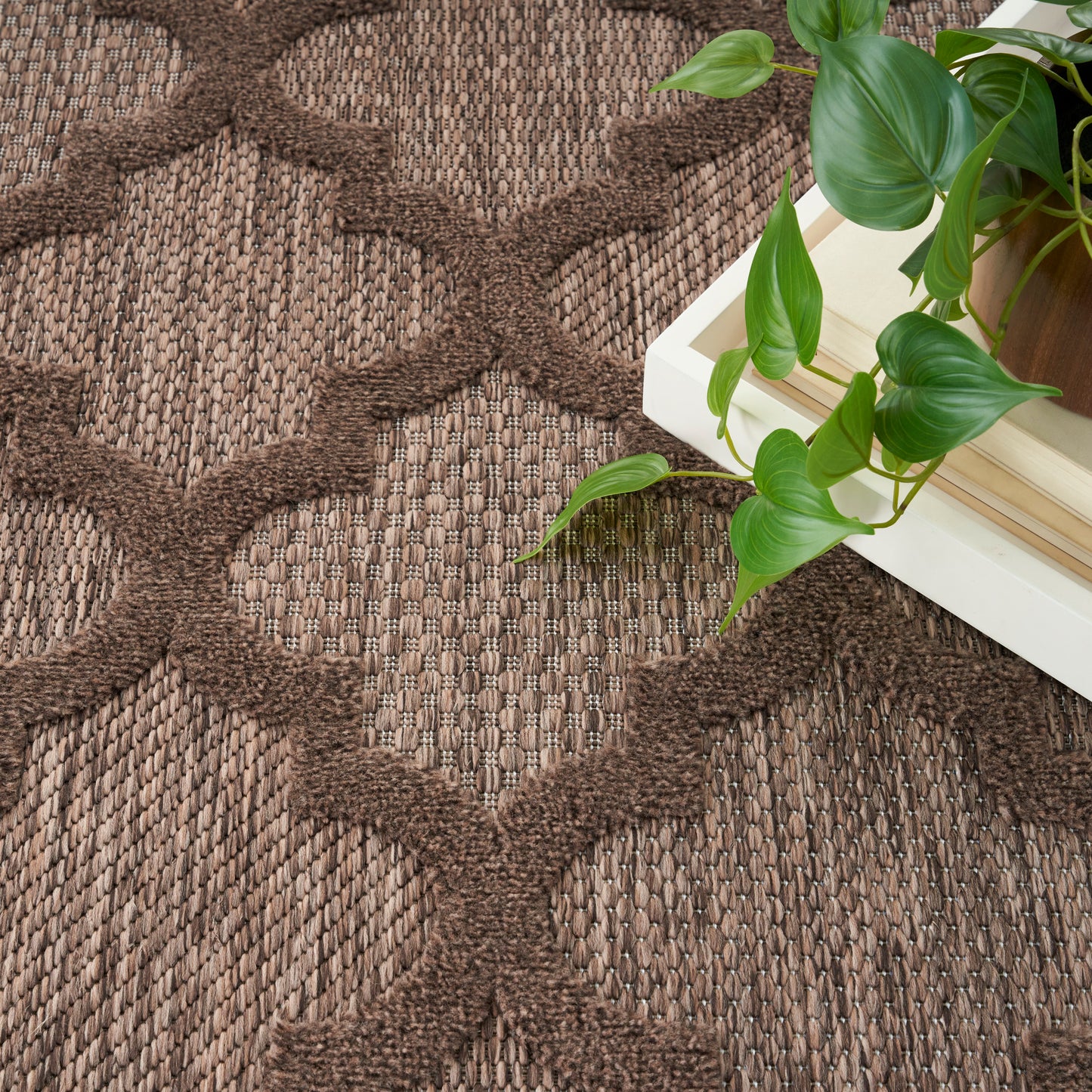 Nourison Easy Care 6' x Round Brown Modern Rug