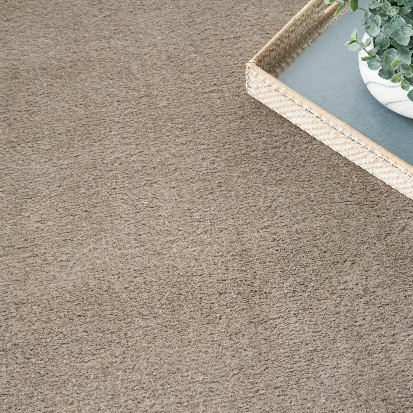 Nourison Plush Cloud 7'9" x 9'9" Taupe Modern Indoor Rug