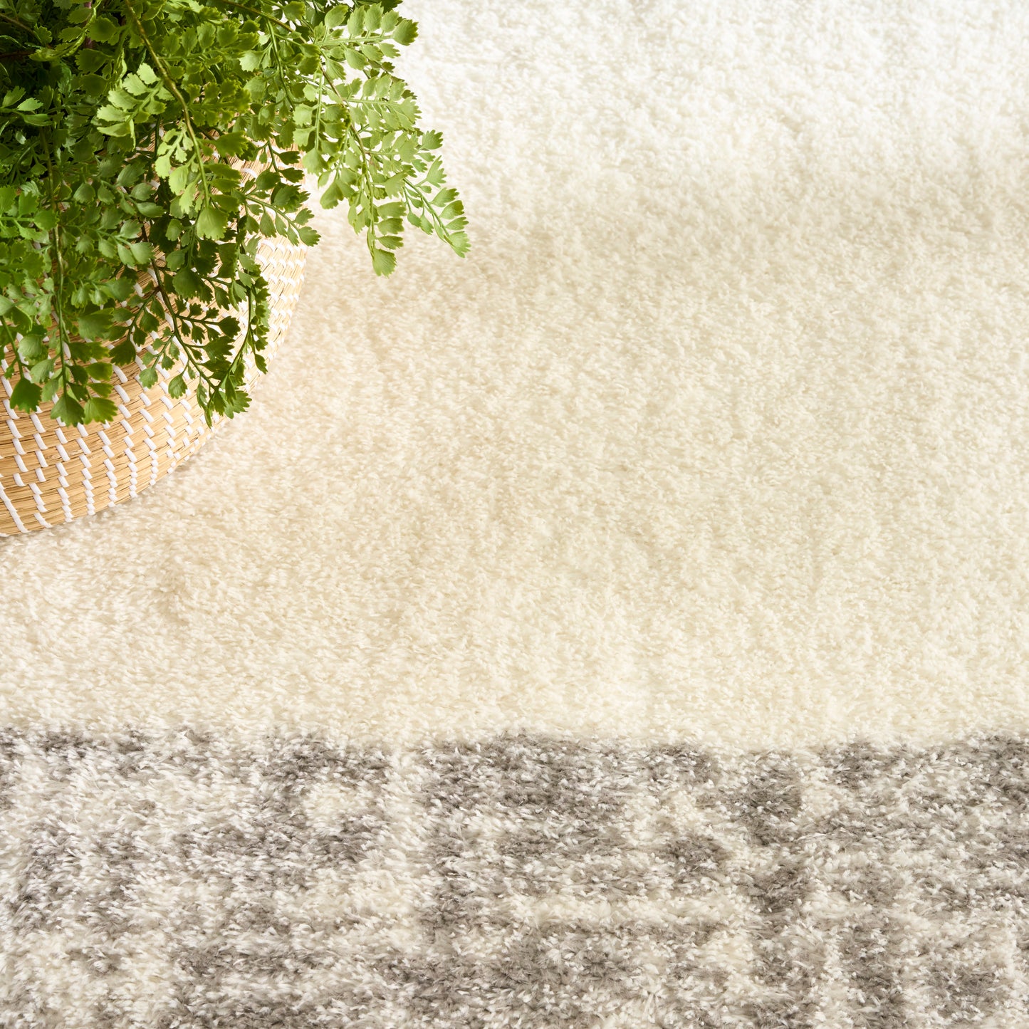 Nourison Pacific Shag 5'3" x 7'3" Ivory Grey Shag Indoor Rug