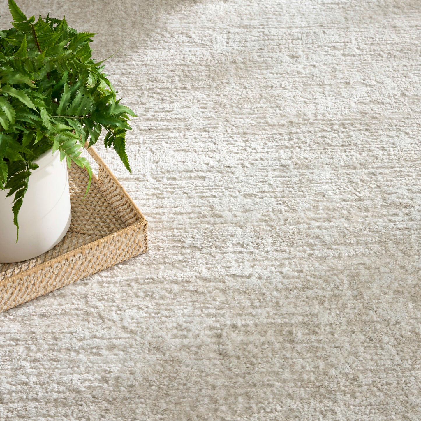 Nourison Dekor 5'3" x 7' Beige Modern Indoor Rug