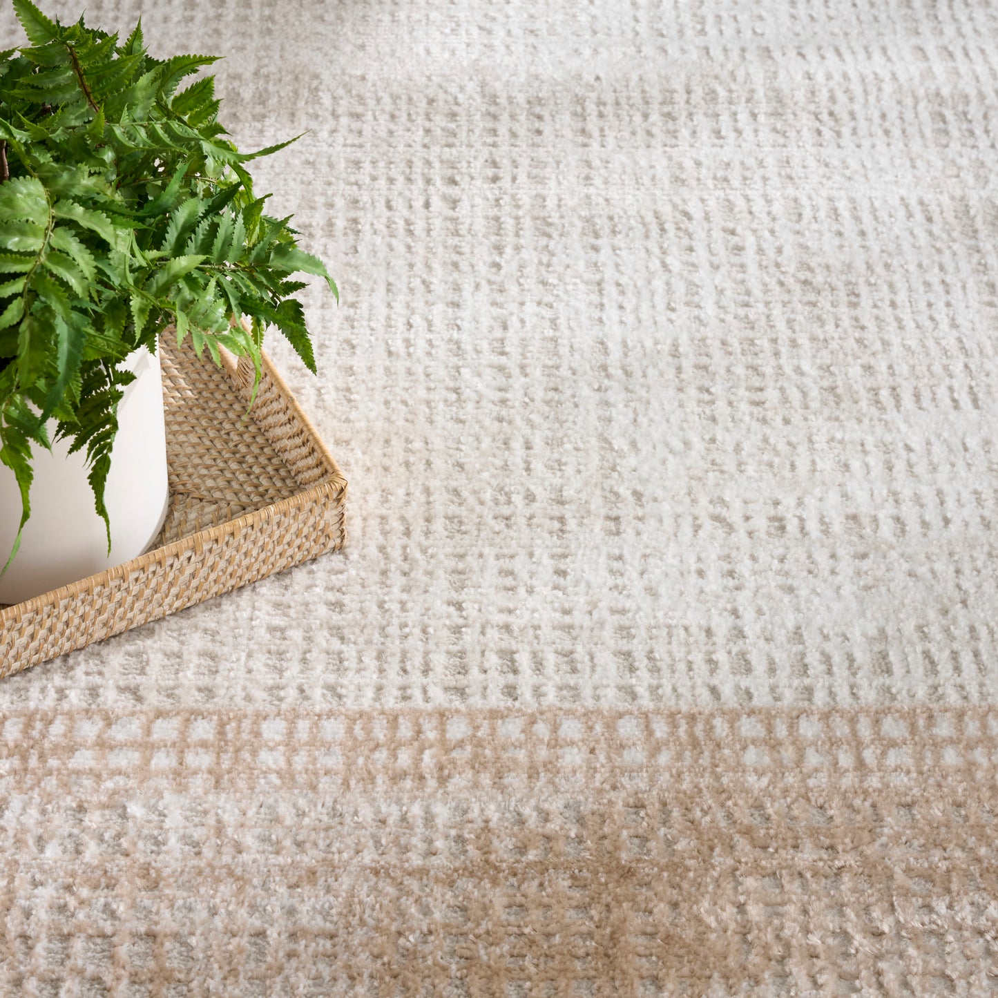 Nourison Dekor 5'3" x 7' Ivory Beige Modern Indoor Rug