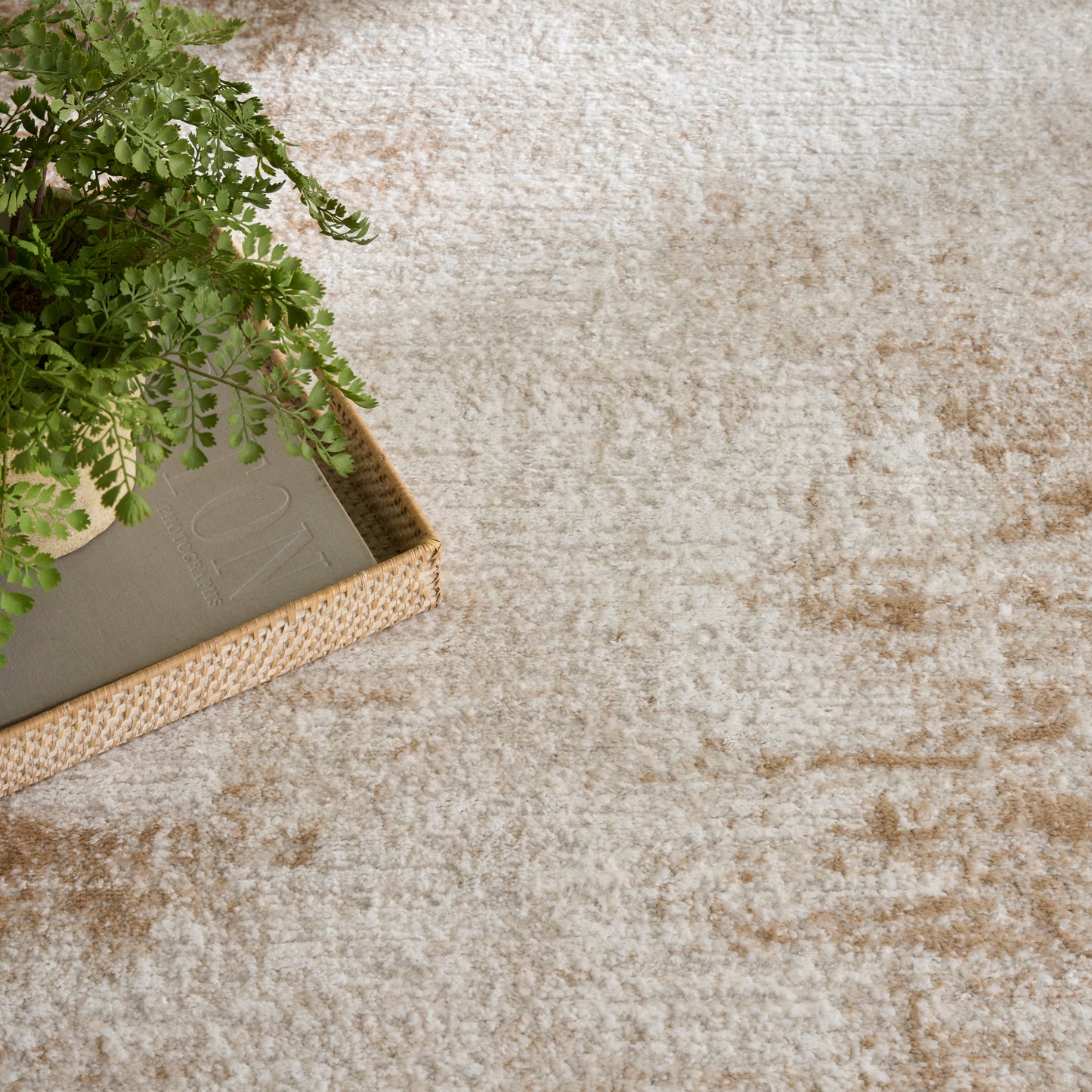 Nourison Dekor 5'3" x 7' Ivory Beige Modern Indoor Rug