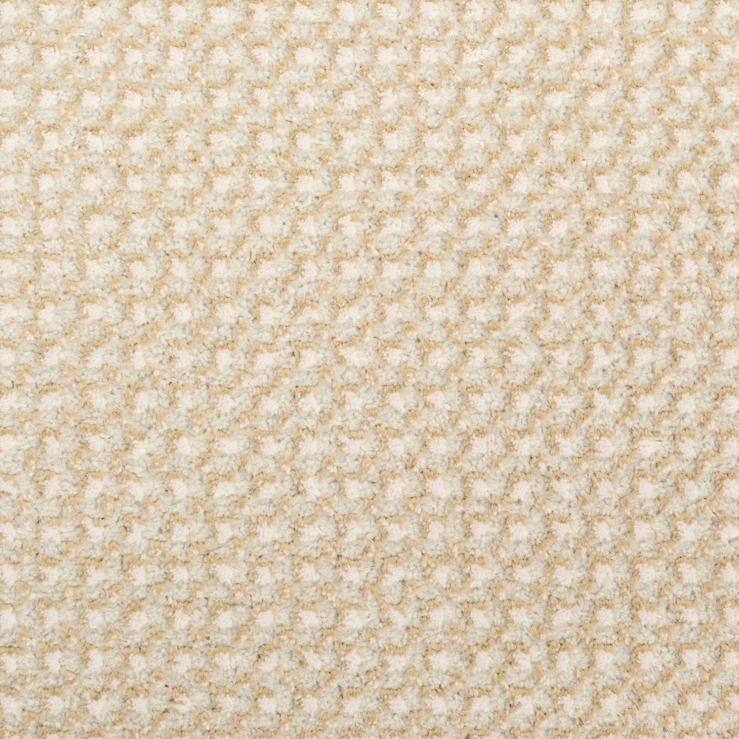 DKNY Atlantic Avenue 4' x 6' Beige Modern Indoor Rug