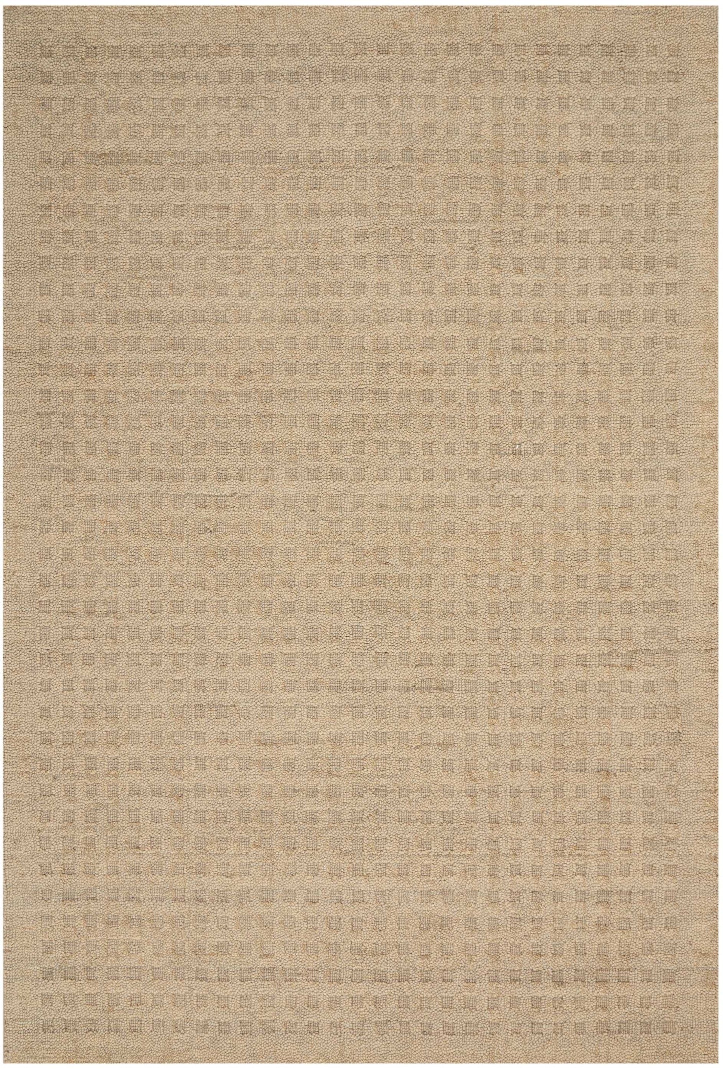 Nourison Marana 8' x 10'6" Taupe Contemporary Indoor Rug