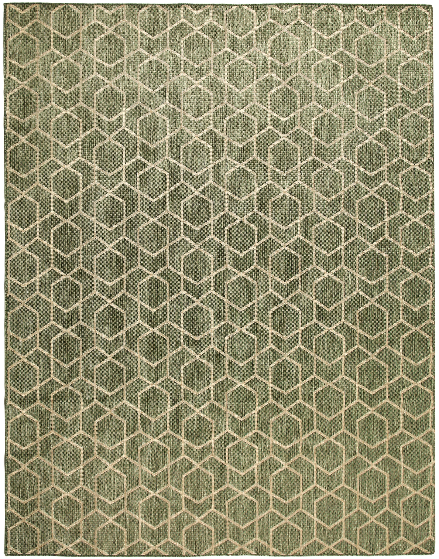 Nourison Horizon Indoor/Outdoor 10' x 14' Green Modern Rug