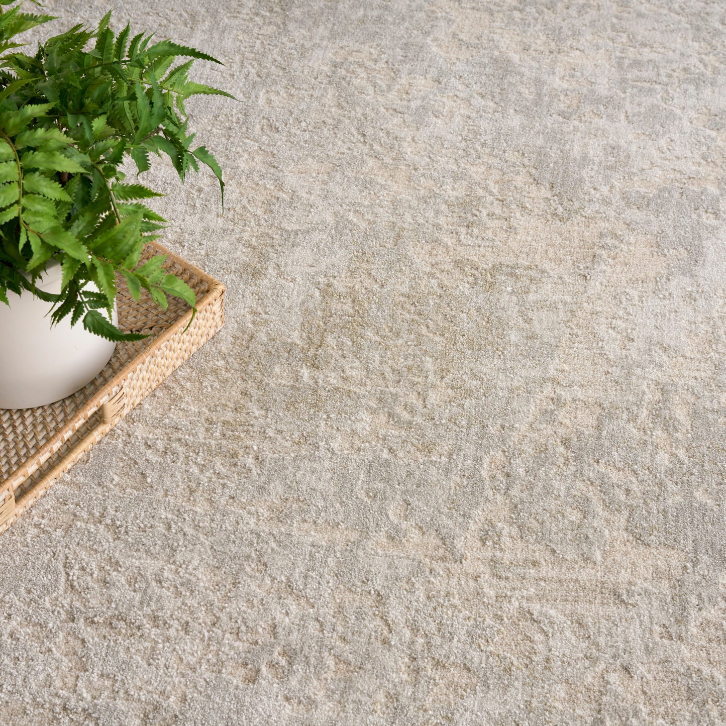 Nourison Envy 5'3" x 7'10" Ivory Grey Modern Indoor Rug