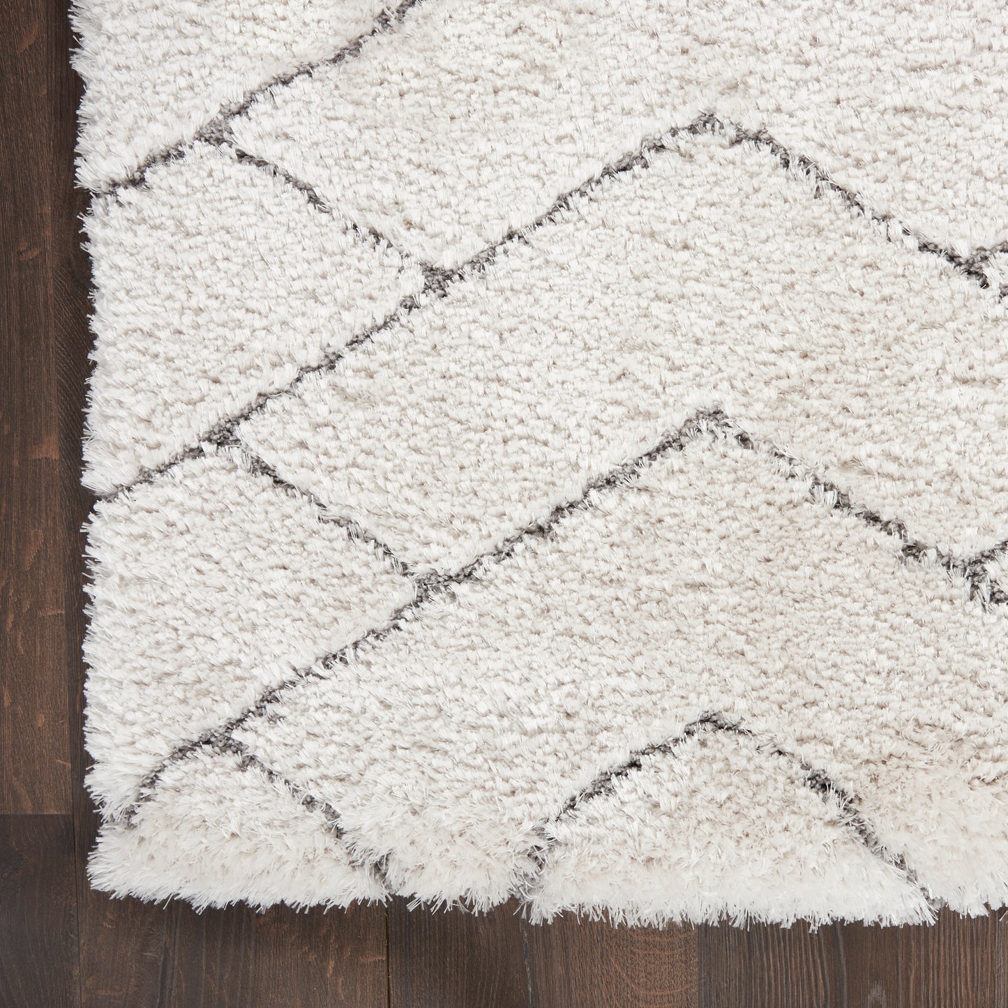 Nourison Dreamy Shag 4' x 6' Ivory Grey Shag Indoor Rug
