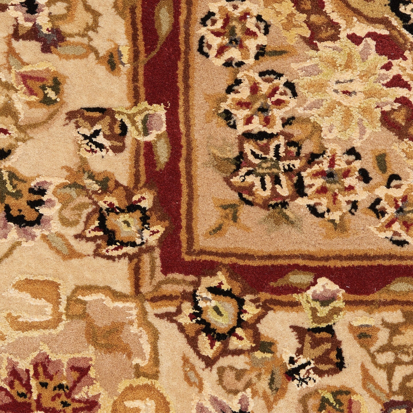 Nourison Nourison 2000 3'9" x 5'9" Black Traditional Indoor Rug