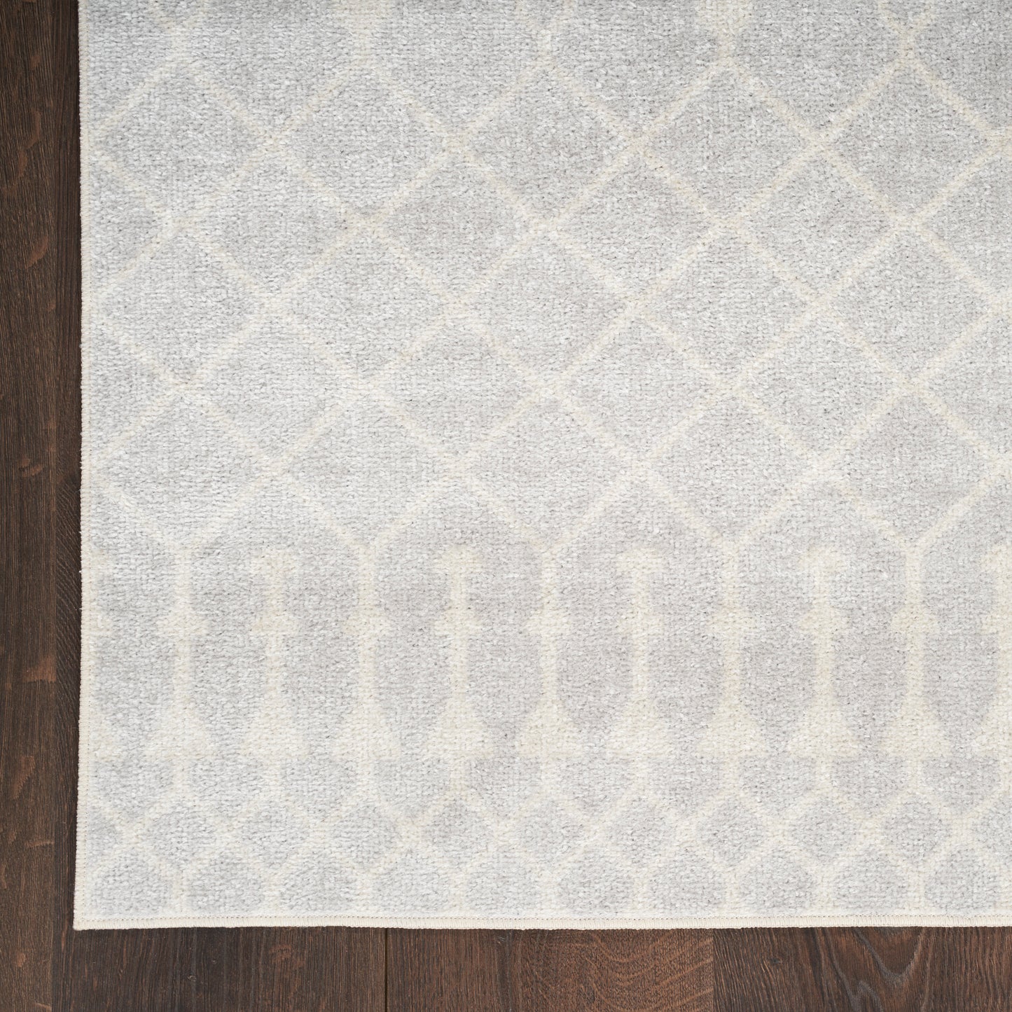 Nourison Astra Machine Washable 9' x 12' Grey Bohemian Indoor Rug