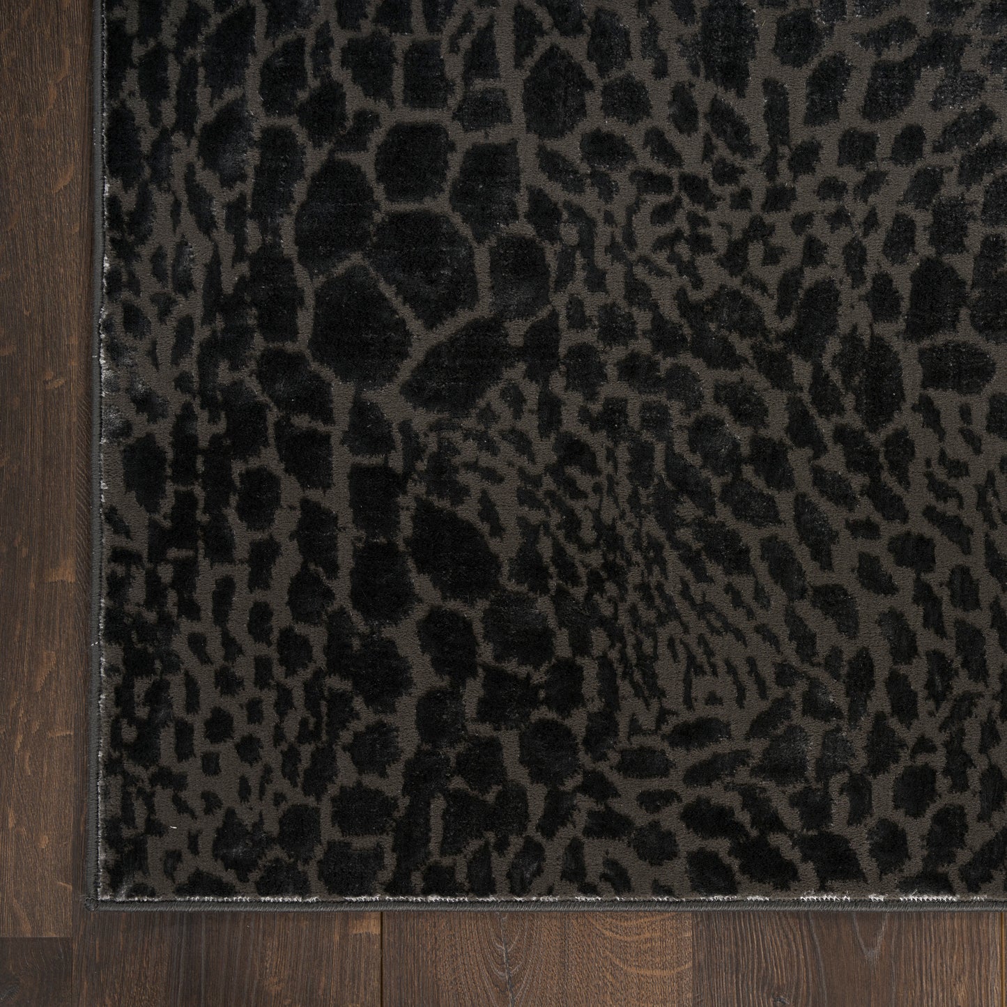 Nourison Desire 3'11" x 5'11" Charcoal Silver Modern Indoor Rug