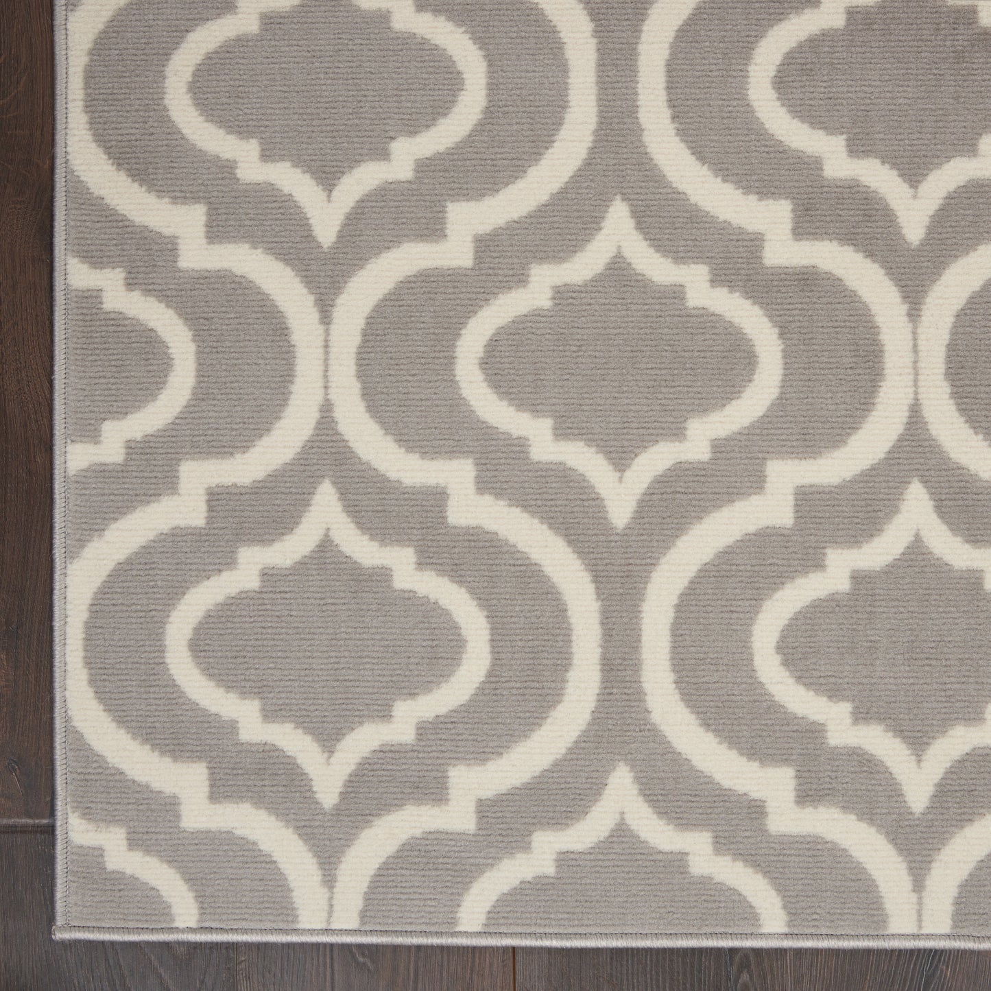 Nourison Jubilant 4' x 6' Grey Contemporary Indoor Rug