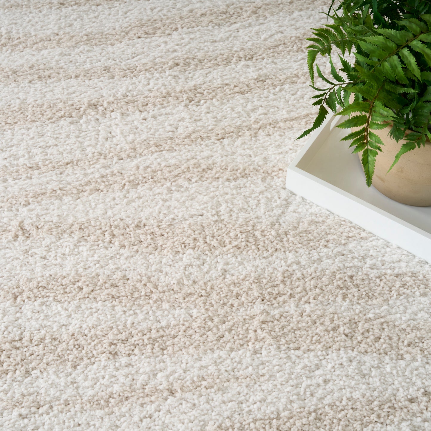 Nourison Modern Shag 3'11" x 5'11" Ivory Beige Modern Indoor Rug