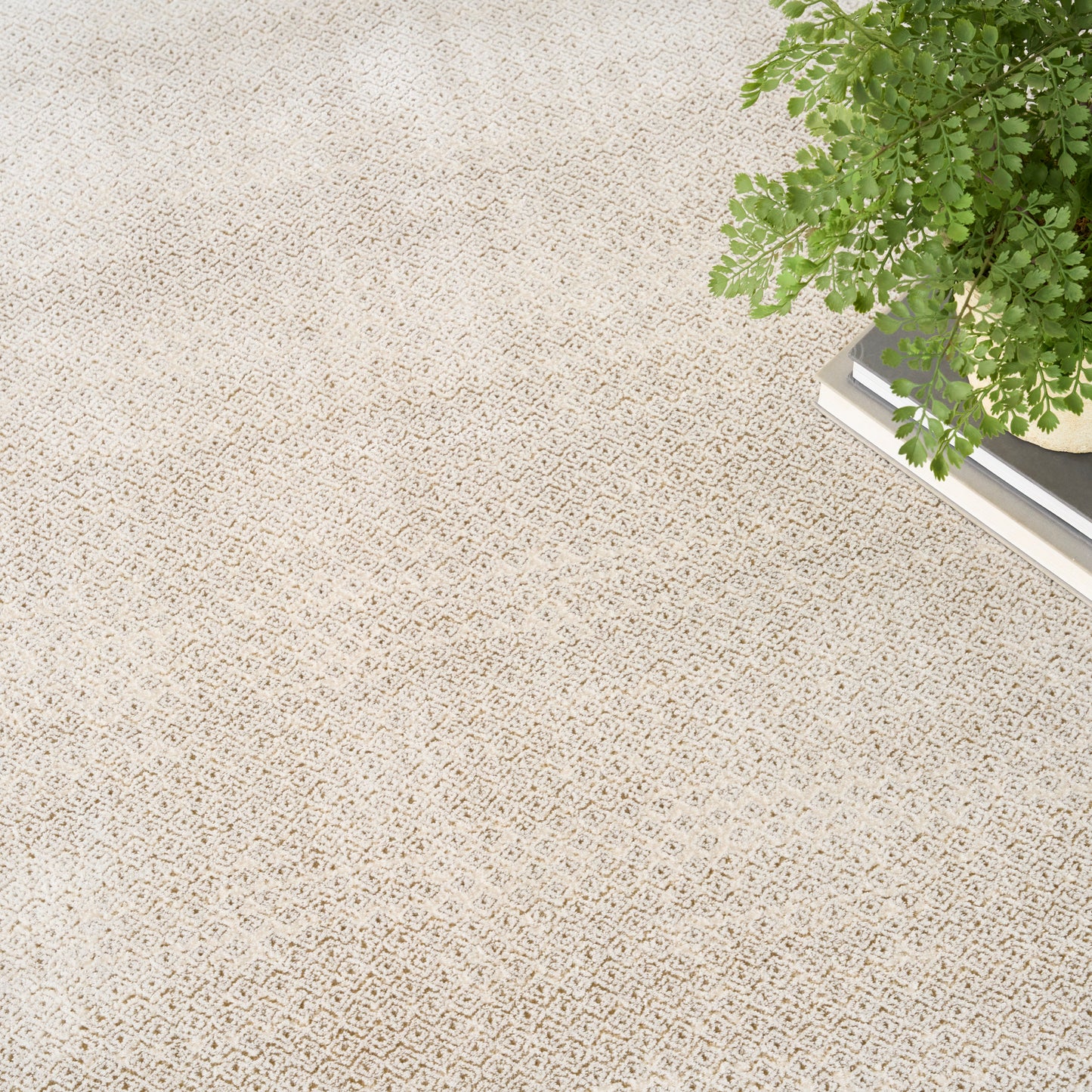 DKNY Grand Street 6' x 9' Ivory Taupe Modern Indoor Rug