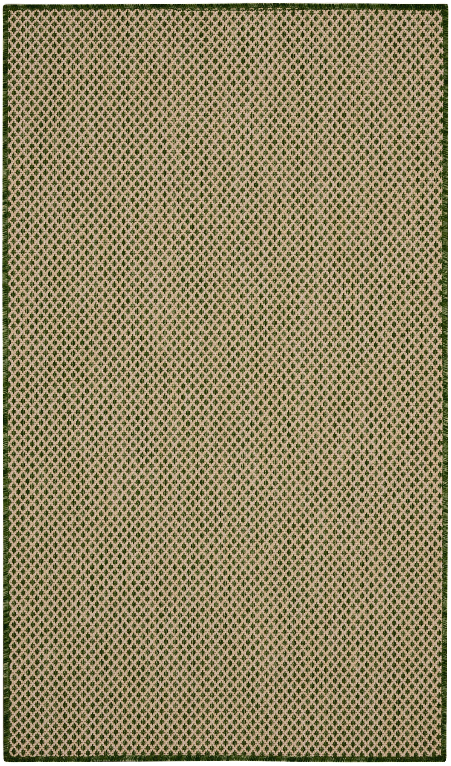 Nourison Courtyard 2' x 3' Green Modern Rug
