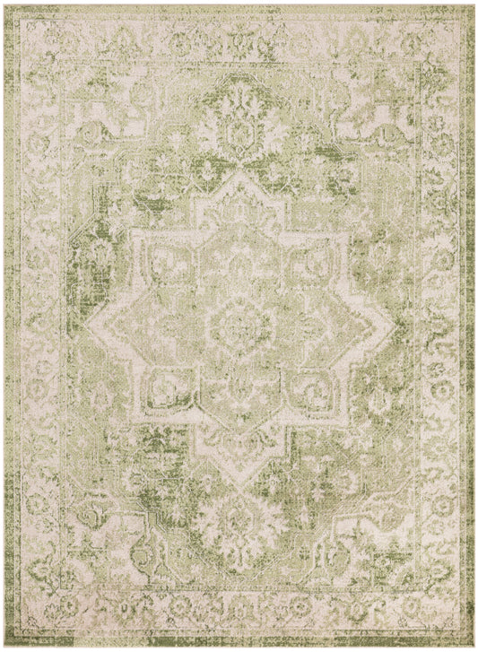 Nourison Astra Machine Washable 4' x 6' Ivory Green Vintage Indoor Rug