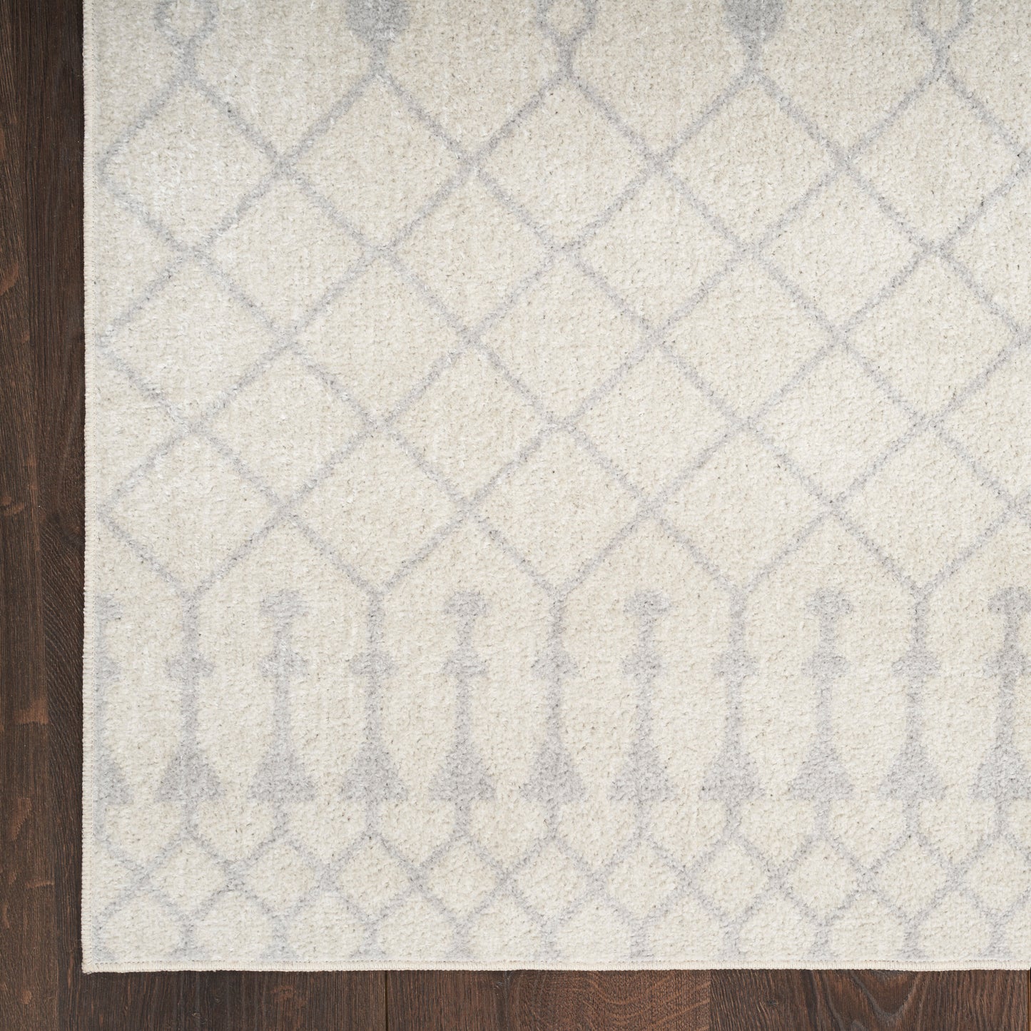Nourison Astra Machine Washable 9' x 12' Ivory Bohemian Indoor Rug