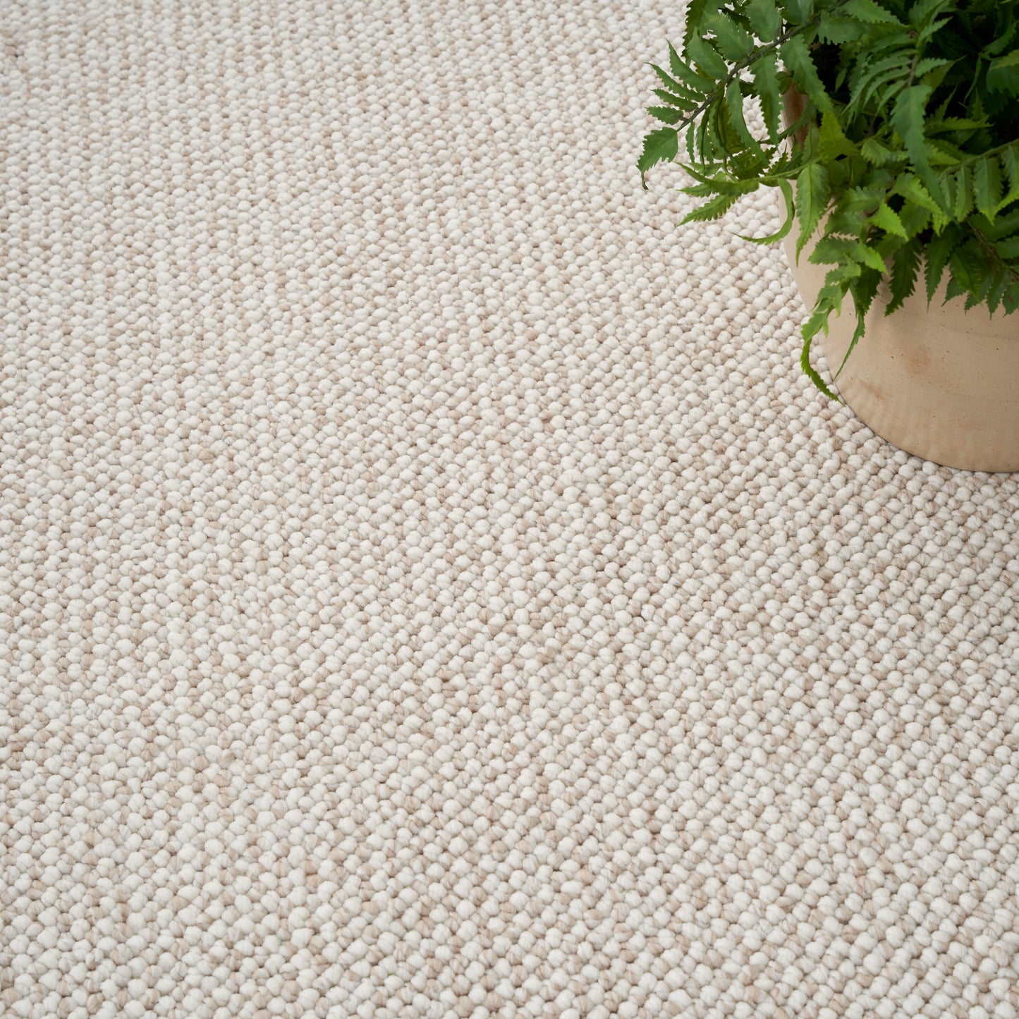 Nourison Natural Texture 7'10" x 9'10" Ivory Beige Farmhouse Indoor Rug