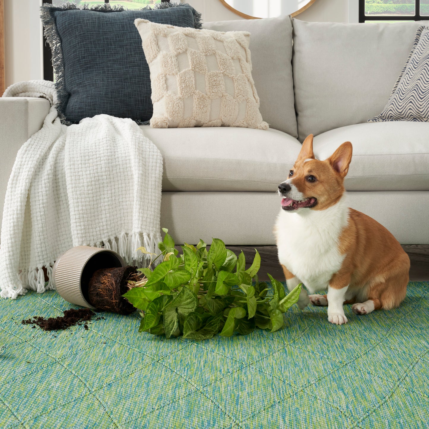 Nourison Washable Solutions 8' x 10' Blue/Green Modern Rug